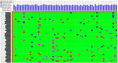 Chinmedomics Strategy for Elucidating the Pharmacological Effects and Discovering Bioactive Compounds From Keluoxin Against Diabetic Retinopathy